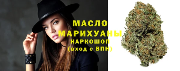 молекула духа Волоколамск