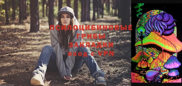 молекула духа Волоколамск