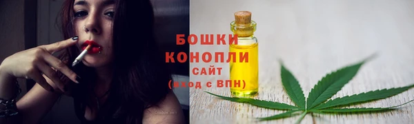 молекула духа Волоколамск