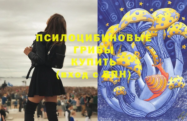 ECSTASY Волосово