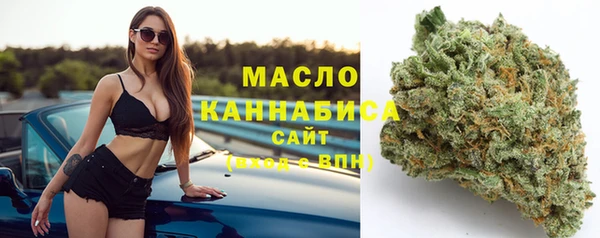 молекула духа Волоколамск