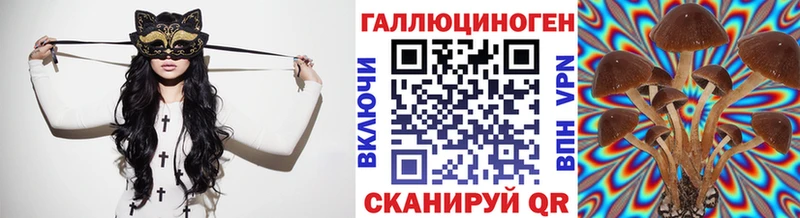 Псилоцибиновые грибы мицелий  Купить  Симферополь 